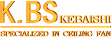 Logotipo da KBS